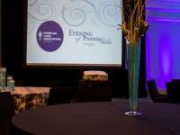 American Lung Association - Evening of Promise Gala 2015