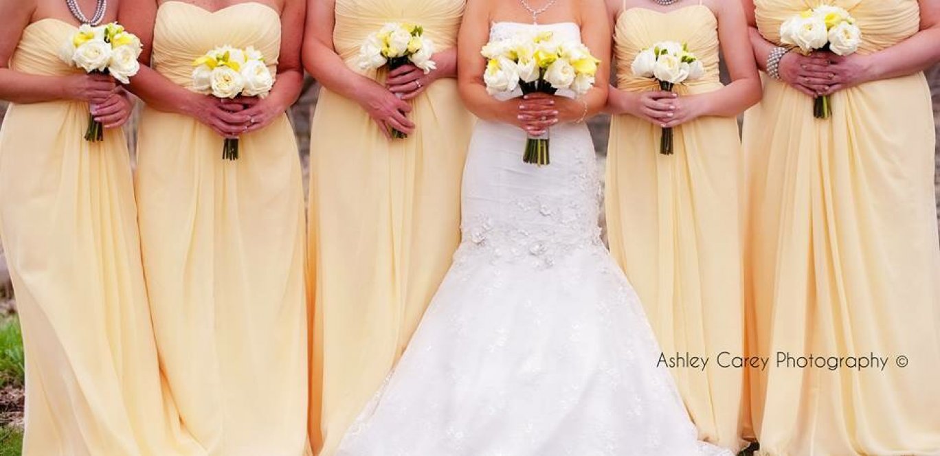 April 2015 Wedding (Copyright: Ashley Carey Photography)